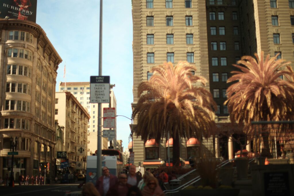 pexels-james-boss-2808410-min